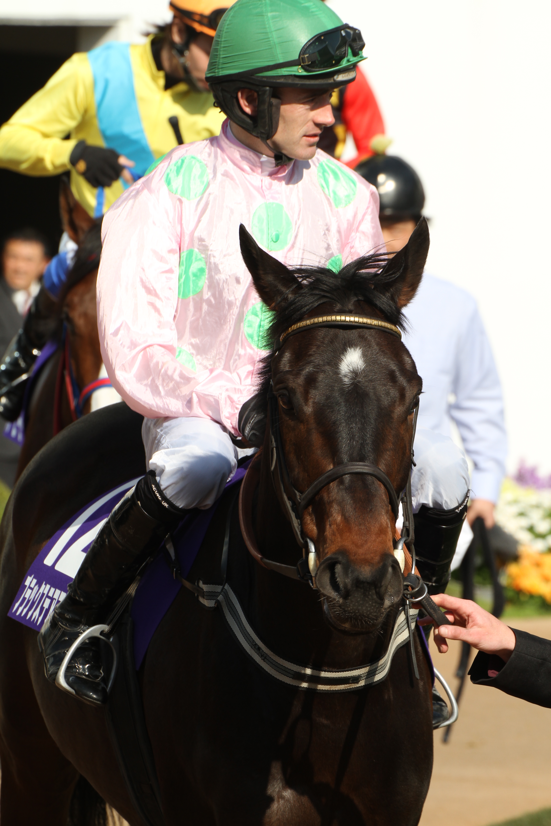 Blackstairmountain（13/04/13・The 15th Nakayama Grand Jump