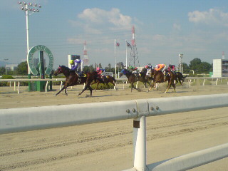 livedoor