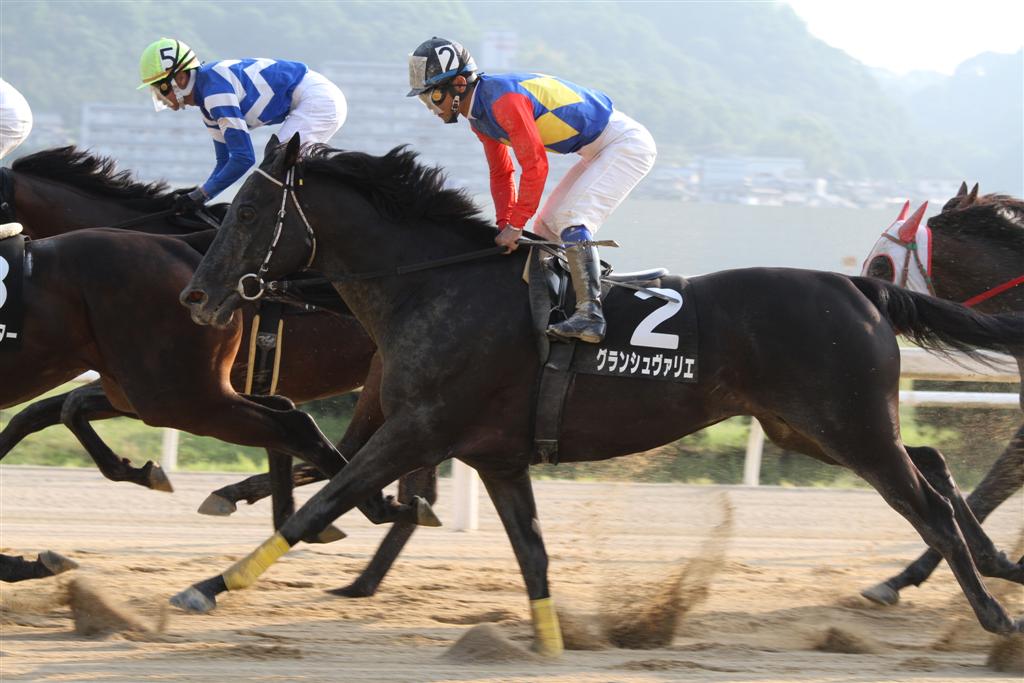 グランシュヴァリエ 12 06 10 第5回 西日本グランプリ 福山競馬場 クロミちゃんの競馬日記