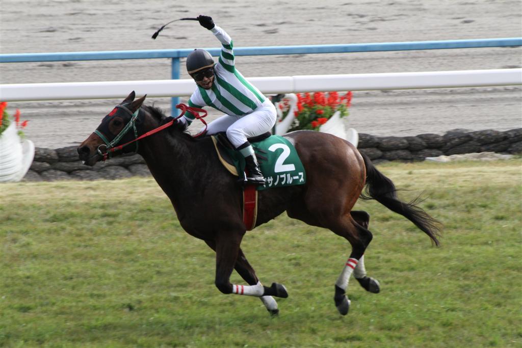 クロミちゃんの競馬日記                        クロミ