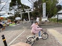 IMG_1029(1)