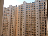 P1000571