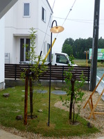 P1000447