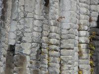 P1050674