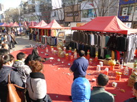 P1000535