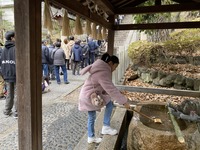 IMG_1024(1)