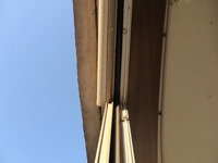 P1000564