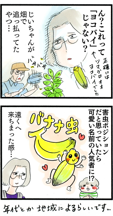 バナナ虫の謎 トシコの日常 ときどき妄想 Powered By ライブドアブログ