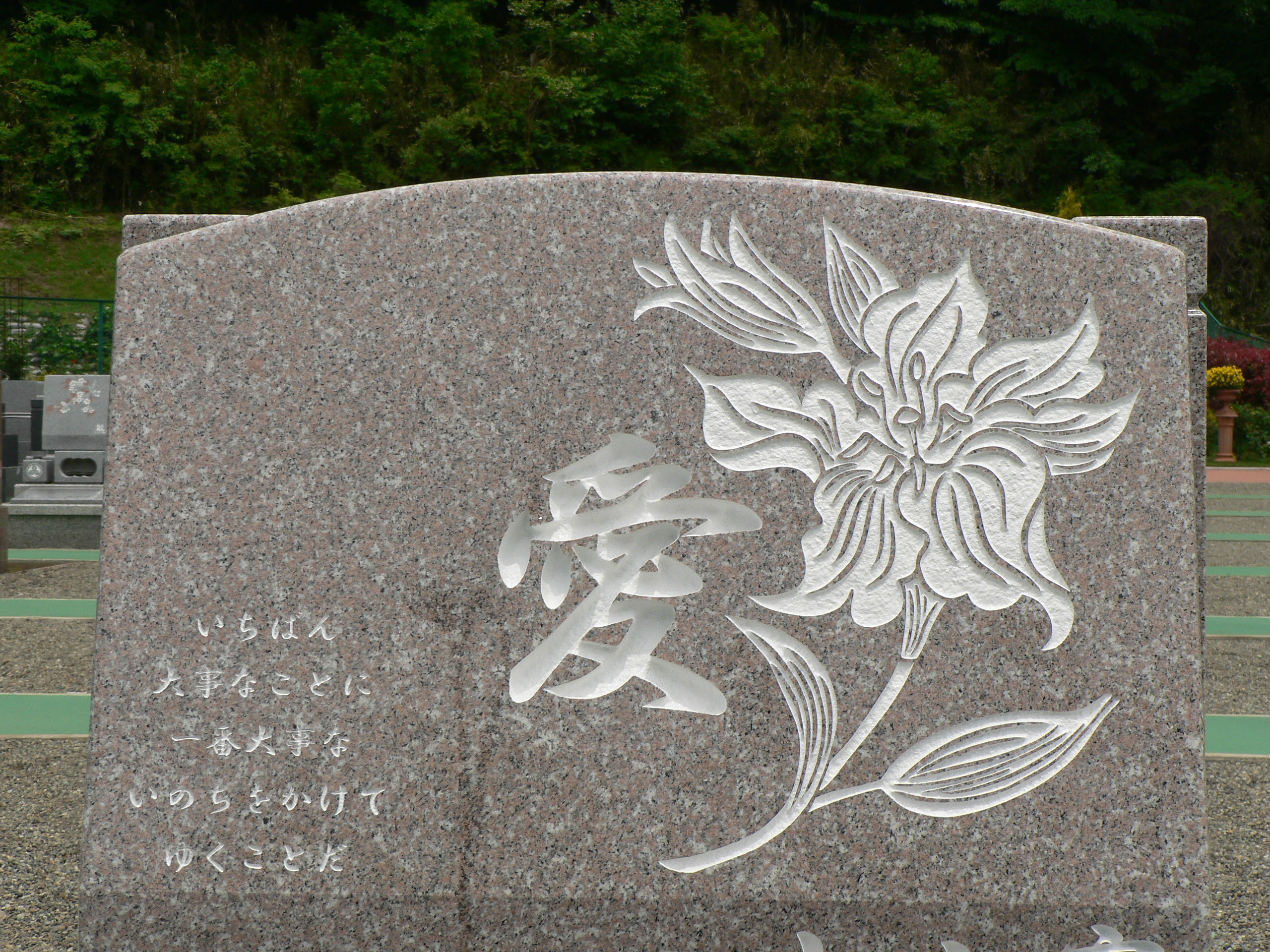 墓石のデザイン 梅雨入り バラの園 おぎの聖地公園