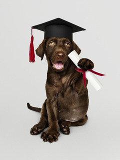 AdobeStock_245492496