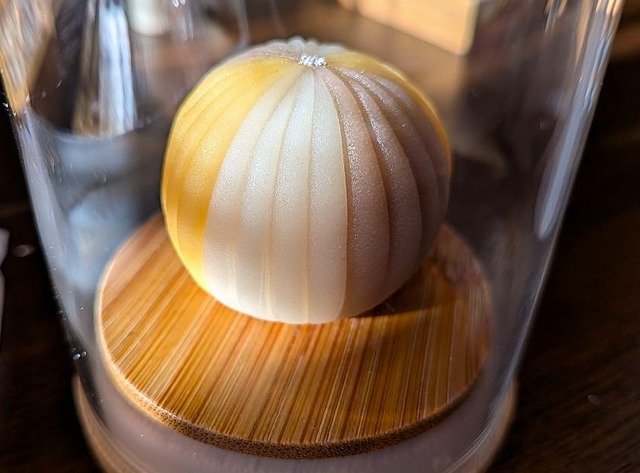 PXL_20251126_054013977.MACRO_FOCUS