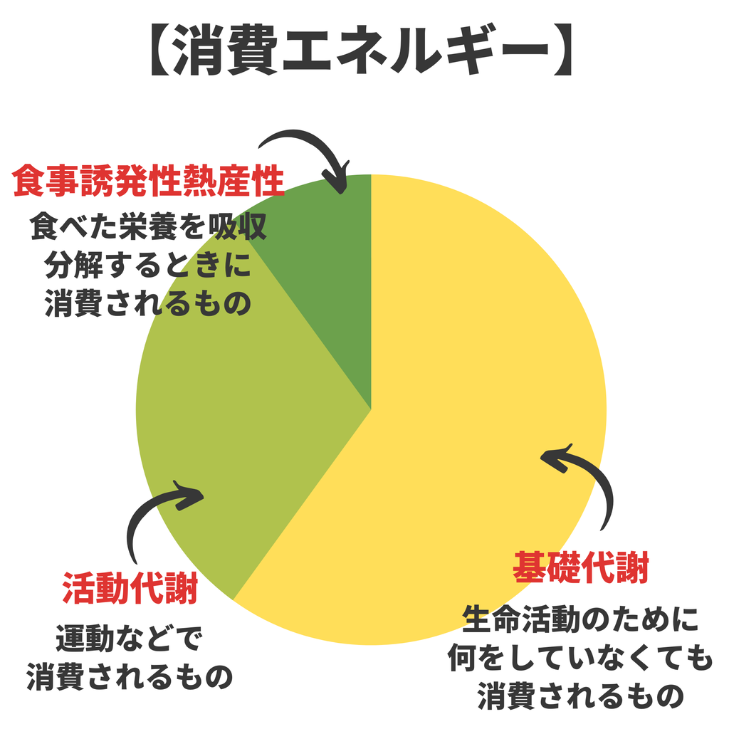 代謝を上げる方法 Ogiトレ De ダイエット Powered By ライブドアブログ