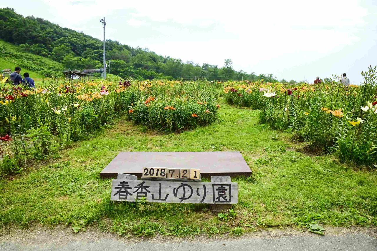オーンズ春香山ゆり園 北海道 小樽 Ogu10のblog