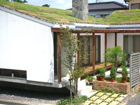 DSCN0515