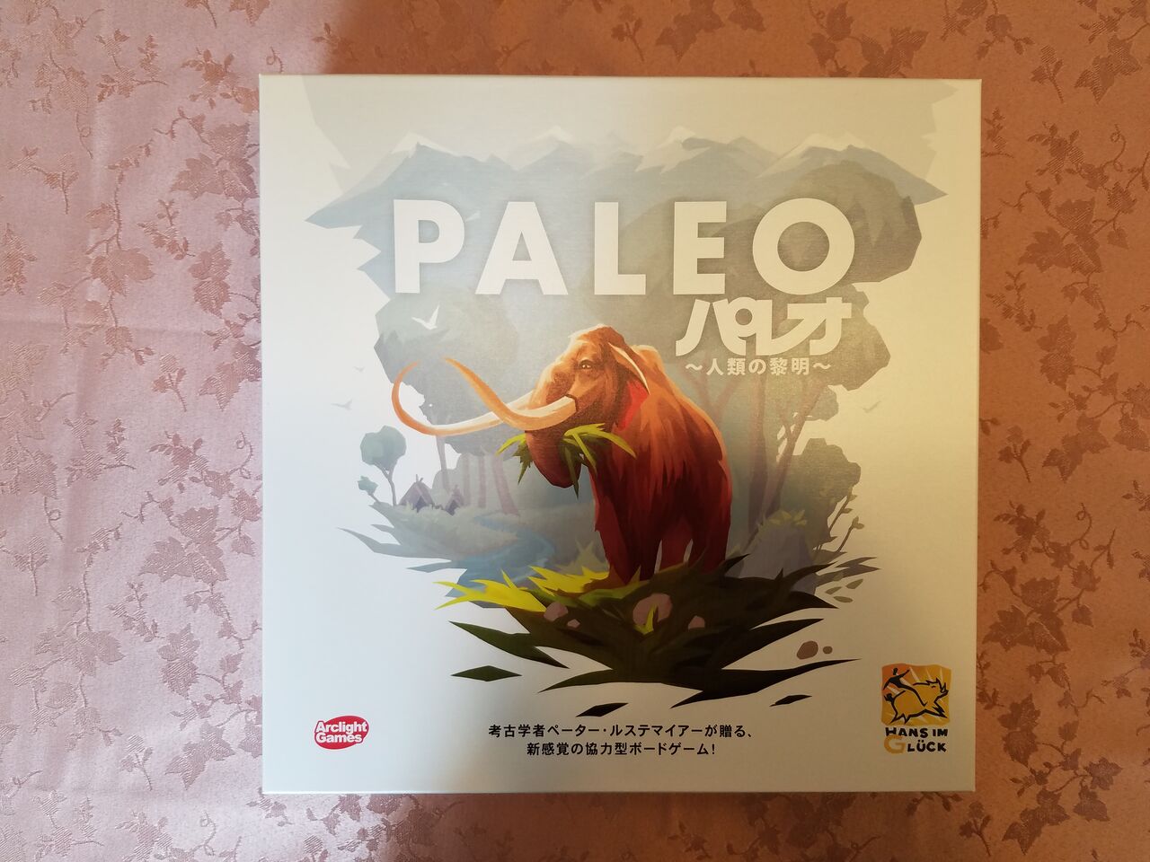 ボードゲーム・レビュー・評価】パレオ（Paleo） : 「あそびつながる