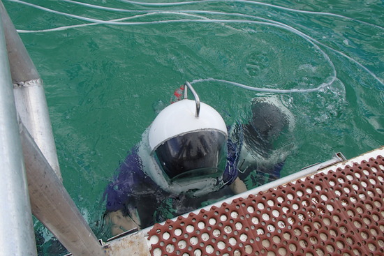 ヘルメットかぶせてもらう