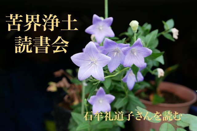 E031C24F-4B0C-498D-8AE5-5E2A8FABAE9A