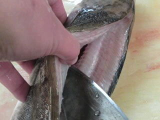 ホッケの開き方 背開き 簡単 魚の美味しいさばき方 ホッケの開き方 背開き 簡単 魚の美味しいさばき方