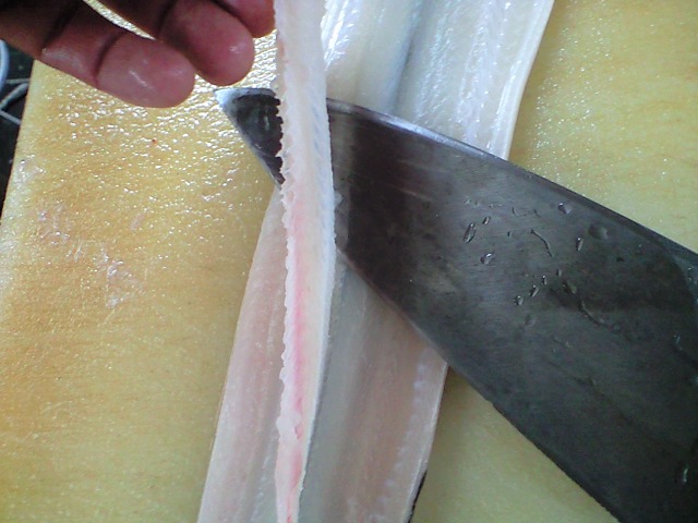 ハモの開き方 活けハモ 簡単 魚の美味しいさばき方