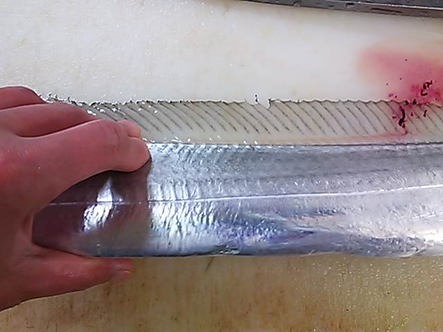 太刀魚 タチウオ 切り方 簡単 魚の美味しいさばき方