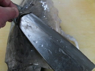 文甲イカのさばき方 簡単 魚の美味しいさばき方