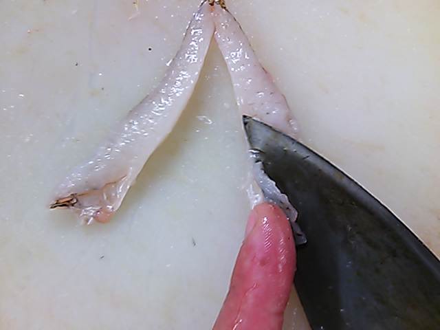 メゴチ さばき方 おろし方 簡単 魚の美味しいさばき方