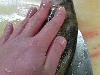 ホッケの開き方 背開き 簡単 魚の美味しいさばき方 ホッケの開き方 背開き 簡単 魚の美味しいさばき方