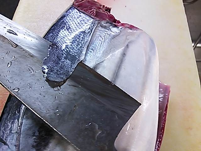 鰹 カツオ ウロコ 取り方 簡単 魚の美味しいさばき方 鰹 カツオ ウロコ 取り方 簡単 魚の美味しいさばき方