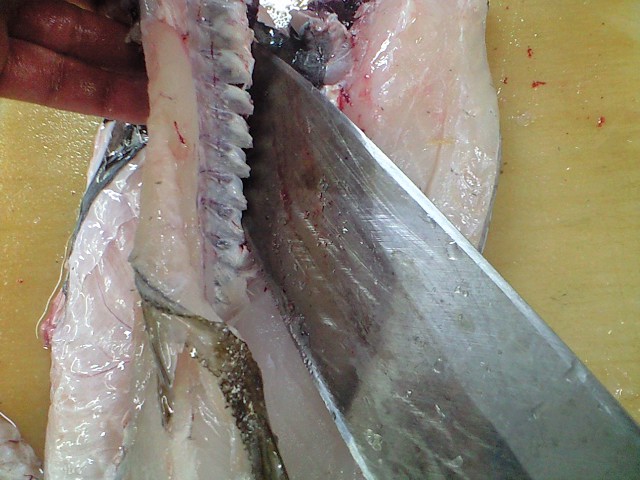 鱈 たら のさばき方 おろし方 簡単 魚の美味しいさばき方