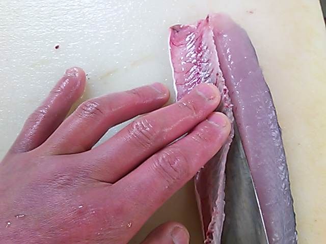 トビウオ 皮 引き方 簡単 魚の美味しいさばき方