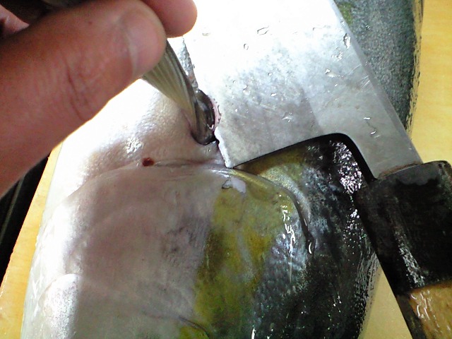 鰤 ブリ のさばき方 おろし方 簡単 魚の美味しいさばき方