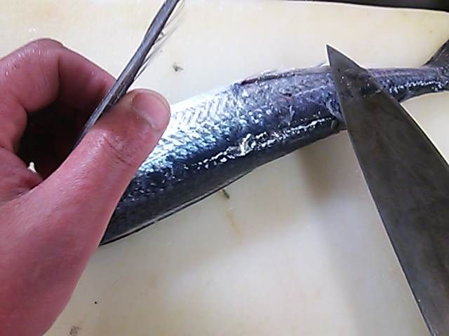 トビウオ 鱗 ウロコ 落とし方 簡単 魚の美味しいさばき方 トビウオ 鱗 ウロコ 落とし方 簡単 魚の美味しいさばき方