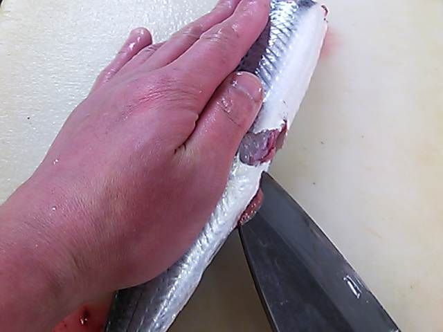 トビウオ おろし方 さばき方 三枚おろし 簡単 魚の美味しいさばき方