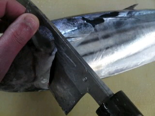 カツオのおろし方 三枚おろし 簡単 魚の美味しいさばき方