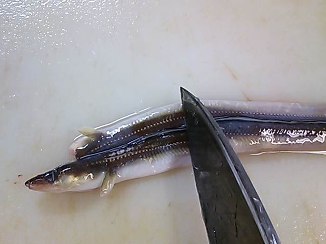 穴子 ヌメリ 取り方 簡単 魚の美味しいさばき方 穴子 ヌメリ 取り方 簡単 魚の美味しいさばき方