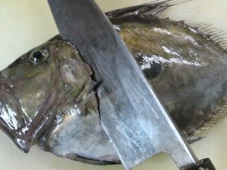 的鯛 マトウダイ 頭の落とし方 簡単 魚の美味しいさばき方