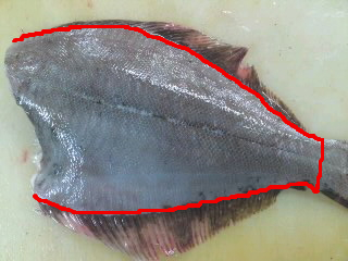 平目のおろし方 さばき方 五枚おろし 簡単 魚の美味しいさばき方 平目のおろし方 さばき方 五枚おろし 簡単 魚の美味しいさばき方