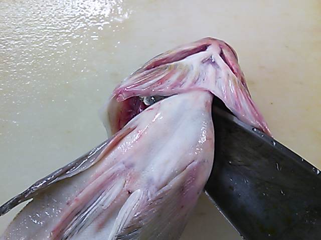 ホッケ 開き方 簡単 魚の美味しいさばき方 ホッケ 開き方 簡単 魚の美味しいさばき方