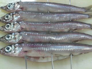 ニギスのさばき方 塩焼き 簡単 魚の美味しいさばき方
