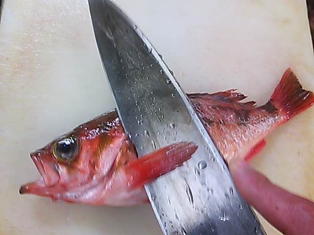 鮴 めばる 煮付け 切り方 簡単 魚の美味しいさばき方 鮴 めばる 煮付け 切り方 簡単 魚の美味しいさばき方