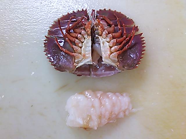 ウチワエビ さばき方 おろし方 簡単 魚の美味しいさばき方