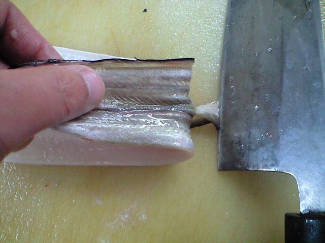 ハモの開き方 活けハモ 簡単 魚の美味しいさばき方