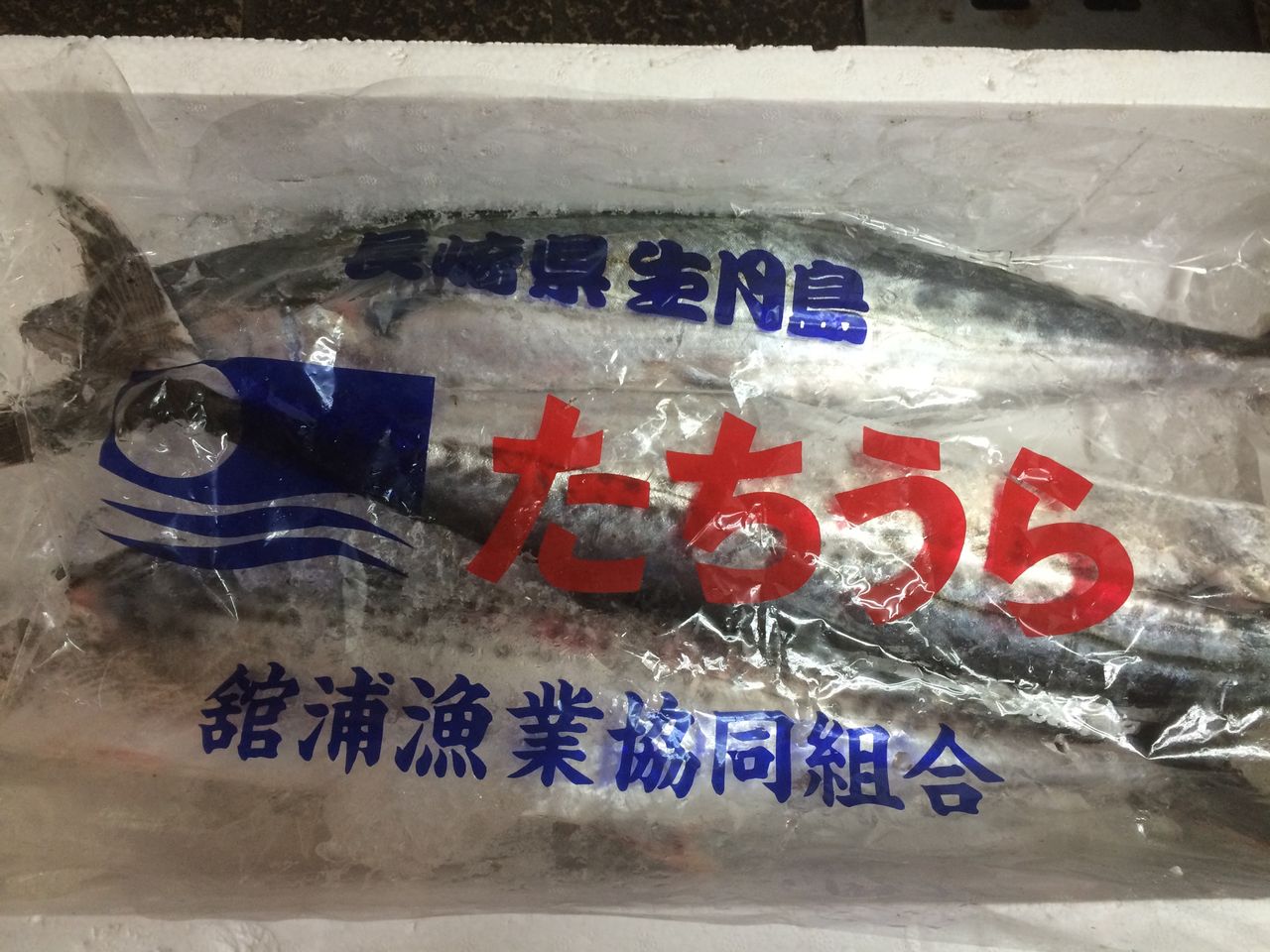 サゴシを仕入れました 簡単 魚の美味しいさばき方