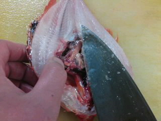 キンキダイの開き方 塩焼き 簡単 魚の美味しいさばき方