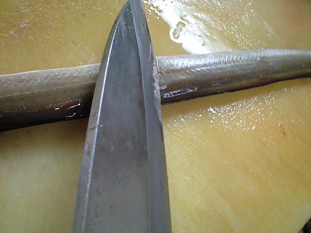 ハモの開き方 活けハモ 簡単 魚の美味しいさばき方