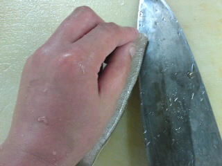 鱚 きす の背開きのやり方 簡単 魚の美味しいさばき方