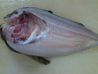 鰰 ハタハタ の開き方 塩焼き 唐揚げ 簡単 魚の美味しいさばき方 鰰 ハタハタ の開き方 塩焼き 唐揚げ 簡単 魚の美味しいさばき方