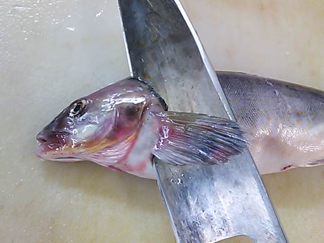 ホッケ 頭 落とし方 簡単 魚の美味しいさばき方 ホッケ 頭 落とし方 簡単 魚の美味しいさばき方