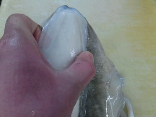 文甲イカのさばき方 簡単 魚の美味しいさばき方