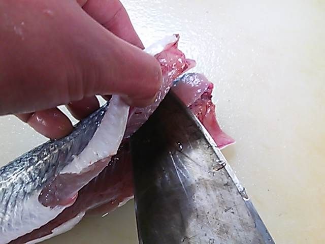 トビウオ おろし方 さばき方 三枚おろし 簡単 魚の美味しいさばき方